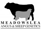 Meadowslea Logo 1