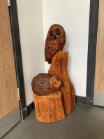 owl