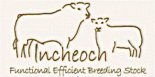 Incheoch logo
